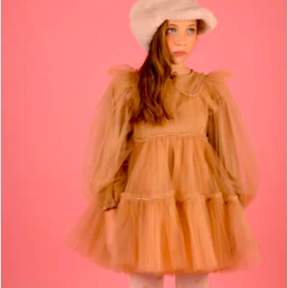 Raspberry Plum Dorothea Dress size 11/12